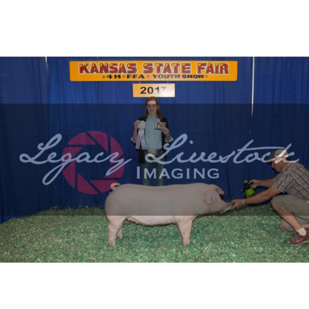 Meet your Posher, Avery